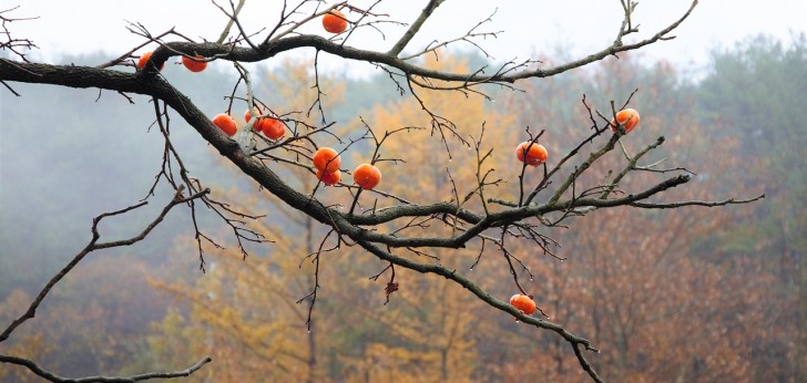 대한민국 풍경242