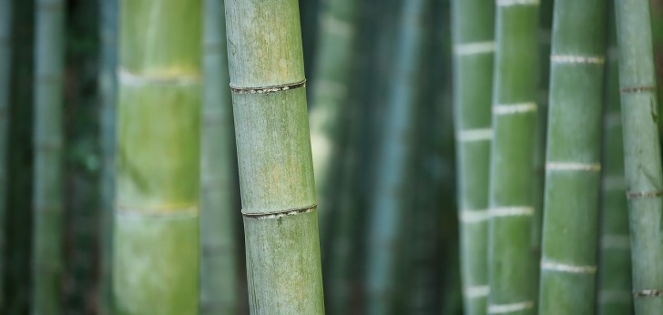 대한민국 풍경245