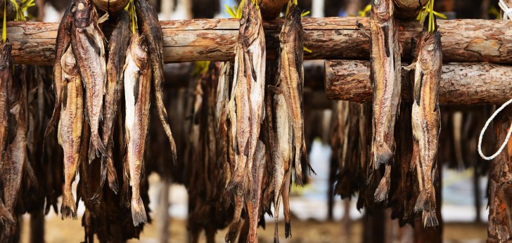 대한민국 풍경187