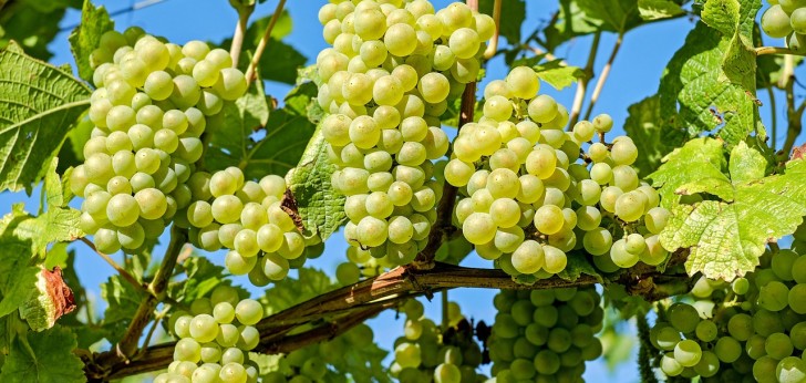 대한민국 풍경180