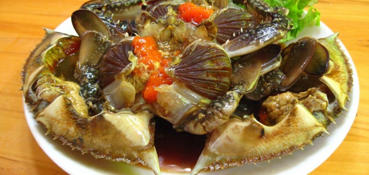 대한민국 풍경286