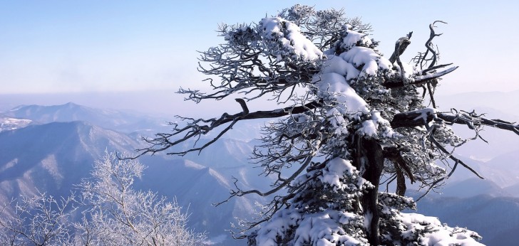 대한민국 풍경275