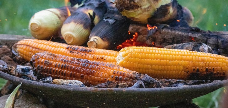 대한민국 풍경274