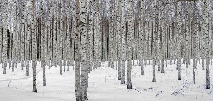 대한민국 풍경269