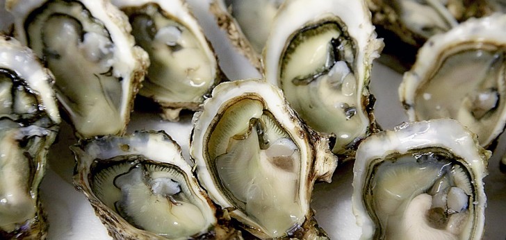 대한민국 풍경213