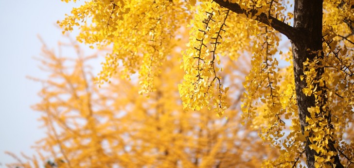 대한민국 풍경230