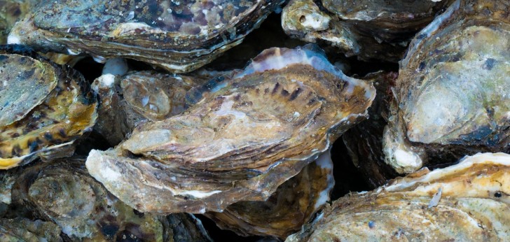 대한민국 풍경254