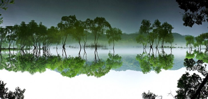 대한민국 풍경20