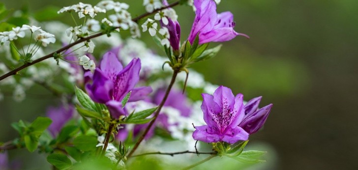 대한민국 풍경39