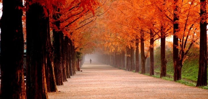 대한민국 풍경26