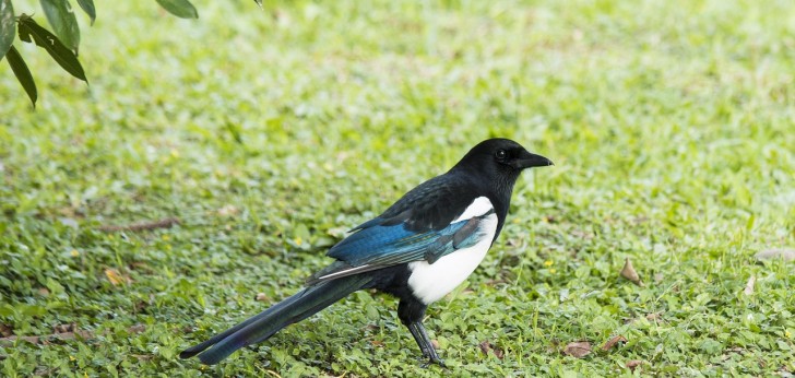 대한민국 풍경113