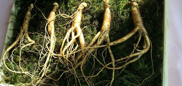 대한민국 풍경117