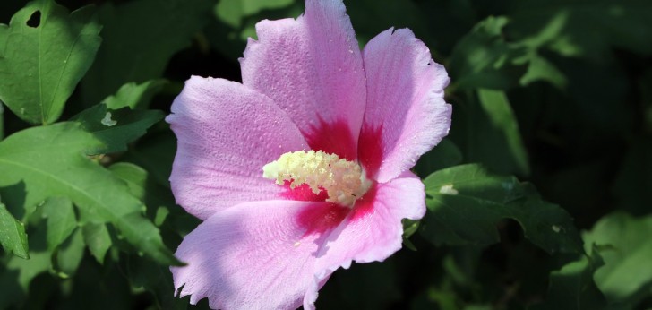 대한민국 풍경164