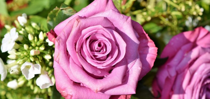 대한민국 풍경191