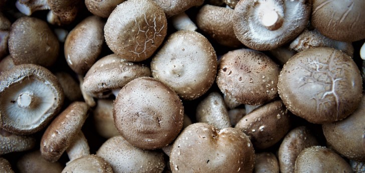 대한민국 풍경224