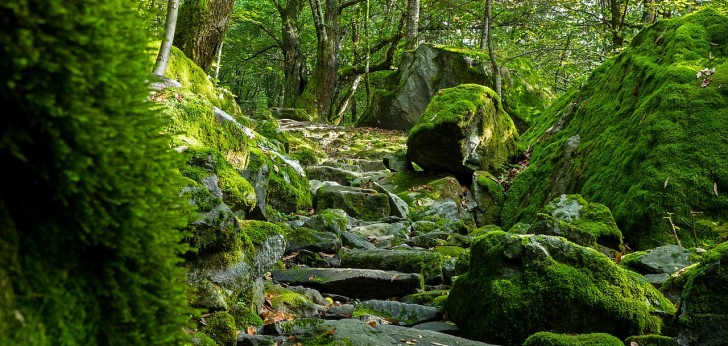 대한민국 풍경186