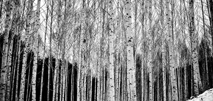 대한민국 풍경246