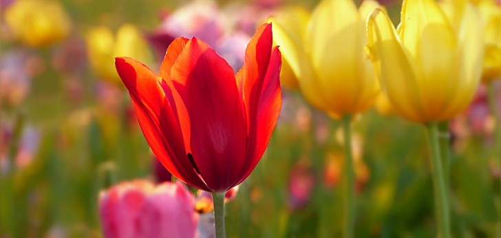 대한민국 풍경192