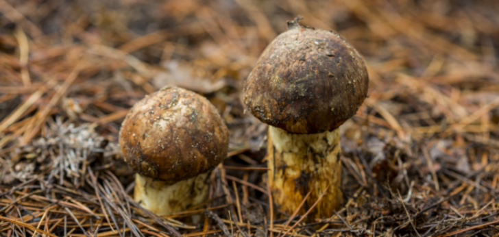 대한민국 풍경197