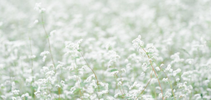 대한민국 풍경190