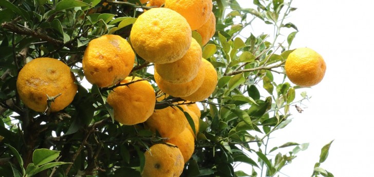 대한민국 풍경220