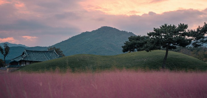 대한민국 풍경205
