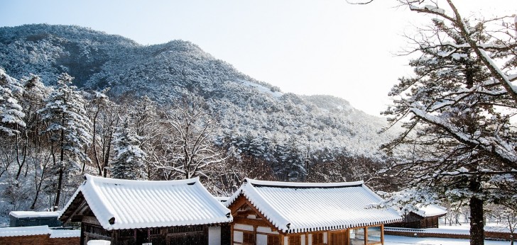 대한민국 풍경78