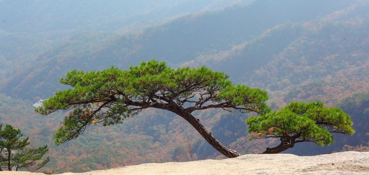 대한민국 풍경53