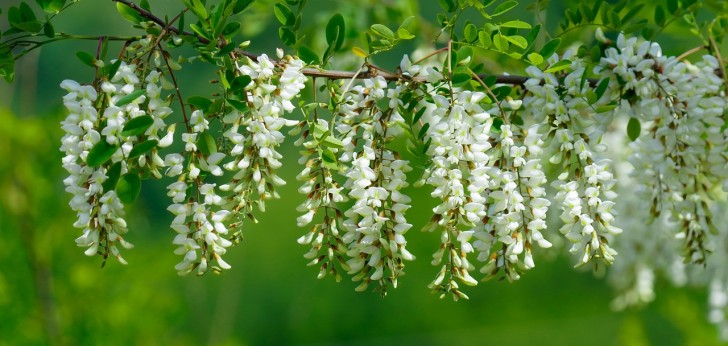 대한민국 풍경88