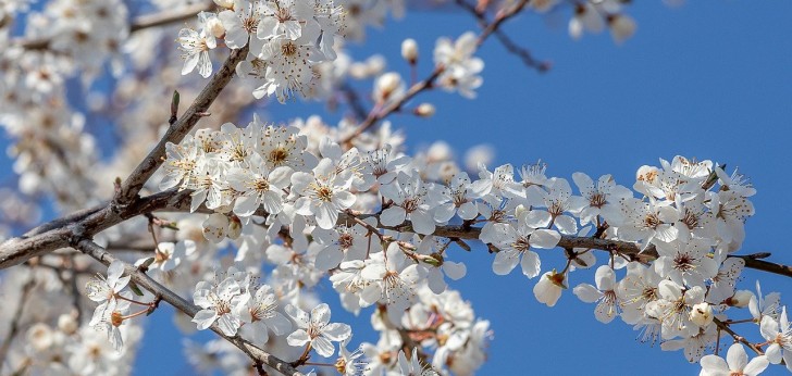 대한민국 풍경82