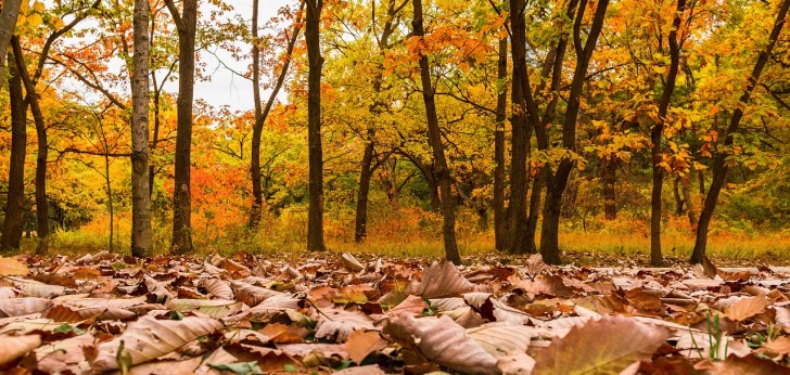 대한민국 풍경71