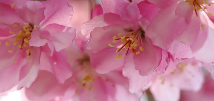 대한민국 풍경145