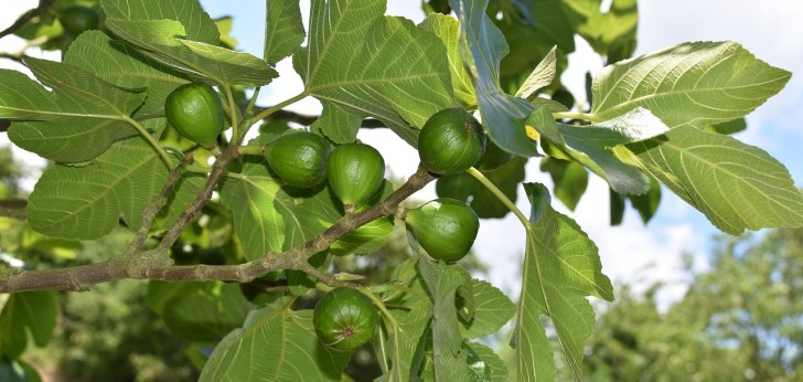 대한민국 풍경134