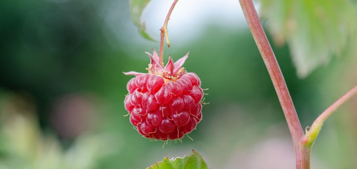 대한민국 풍경126