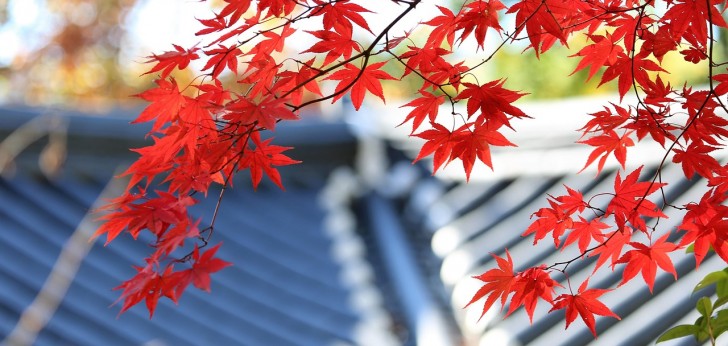 대한민국 풍경143