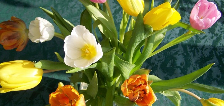 대한민국 풍경140