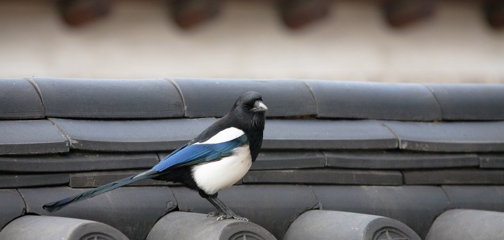 대한민국 풍경87