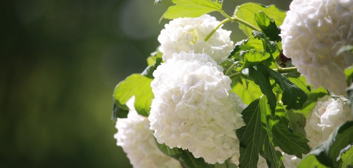 대한민국 풍경133