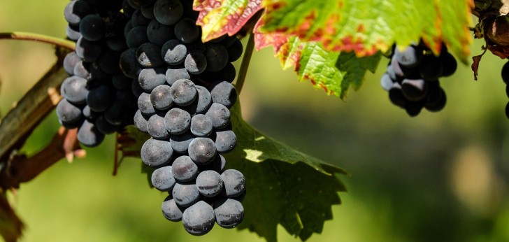 대한민국 풍경154