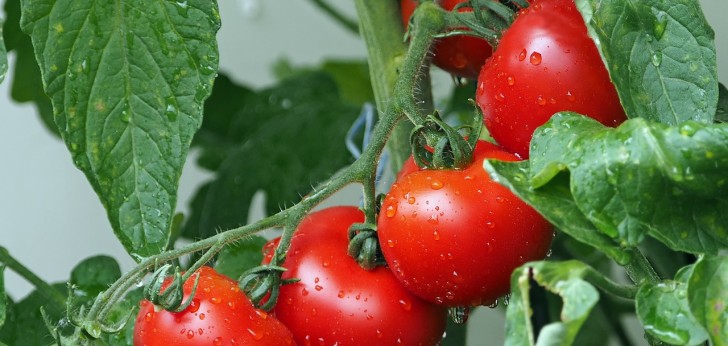 대한민국 풍경132