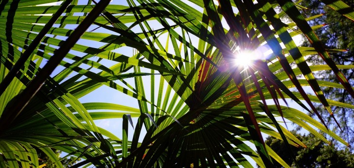 대한민국 풍경240